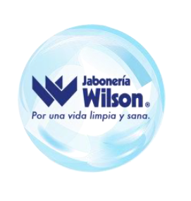 bolsaempleopuce_jabonerawilsonsa