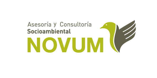 NOVUM Asesores y Consultores Logo